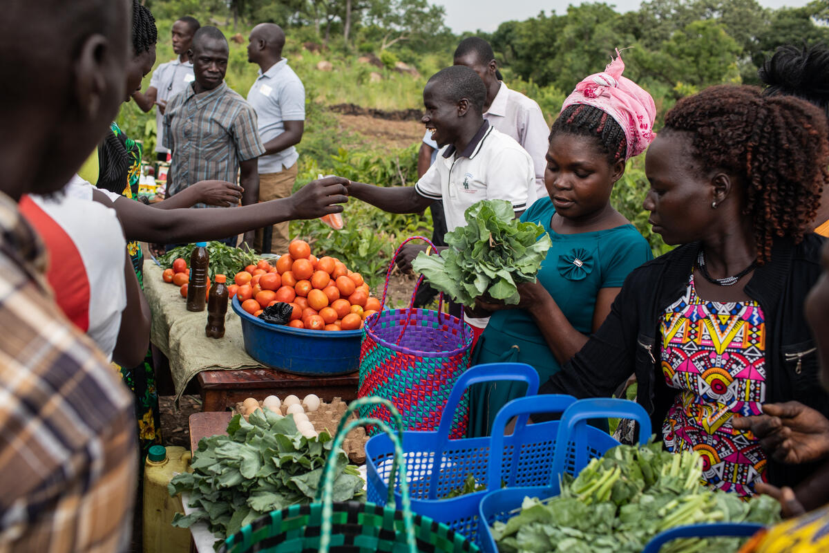 Market Aggregation & Logistics